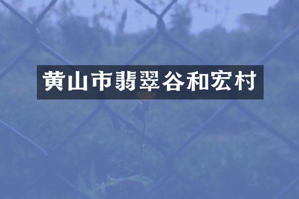 黄山市翡翠谷和宏村