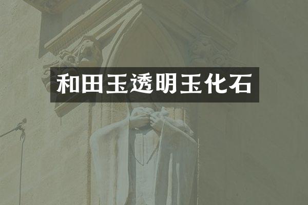 和田玉透明玉化石