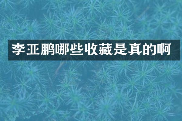李亚鹏哪些收藏是真的啊
