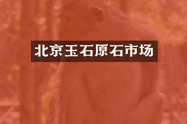北京玉石原石市场