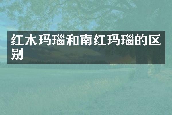红木玛瑙和南红玛瑙的区别
