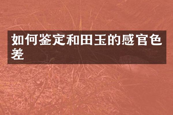 如何鉴定和田玉的感官色差