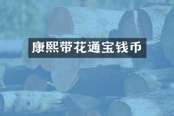 康熙带花通宝钱币