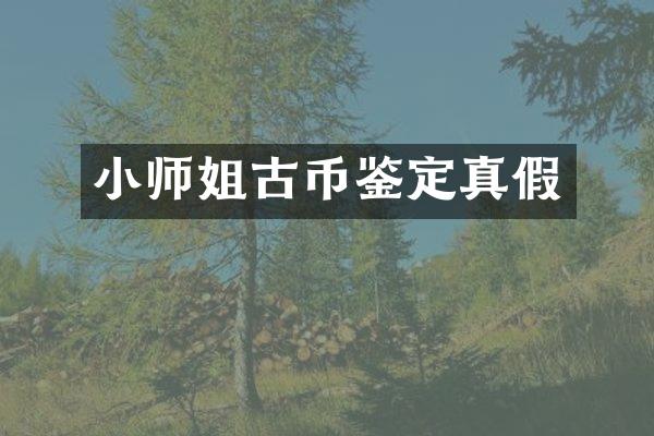 小师姐古币鉴定真假