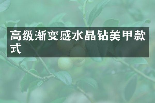 高级渐变感水晶钻美甲款式