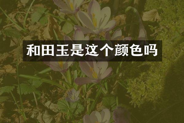 和田玉是这个颜色吗