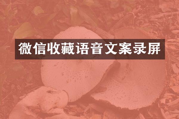 微信收藏语音文案录屏