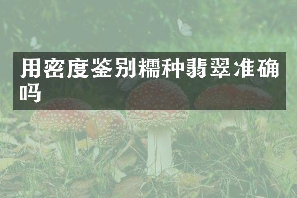用密度鉴别糯种翡翠准确吗