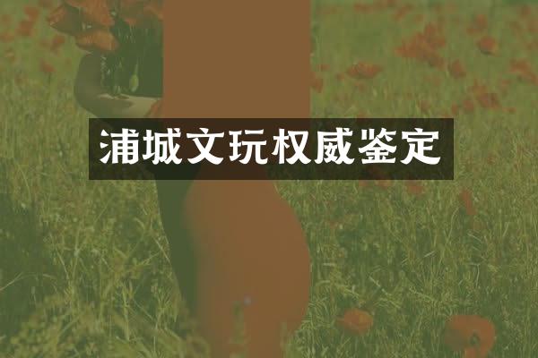 浦城文玩权威鉴定