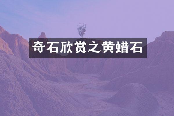 奇石欣赏之黄蜡石