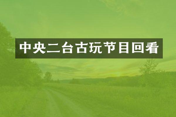 中央二台古玩节目回看