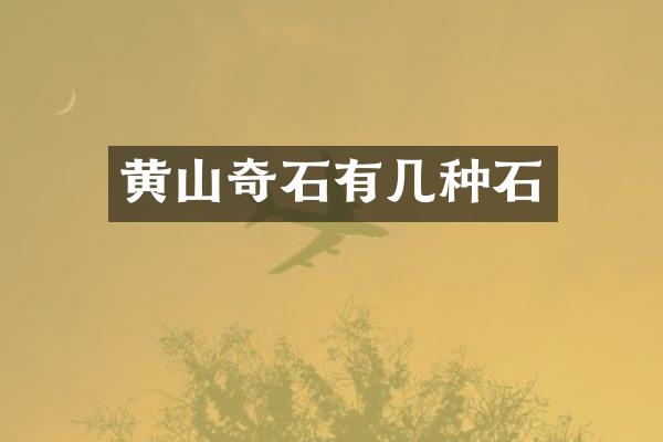 黄山奇石有几种石