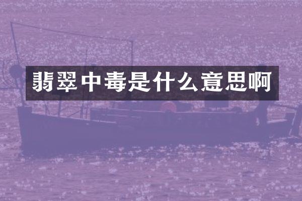 翡翠中毒是什么意思啊