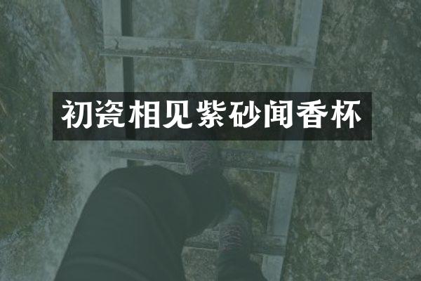 初瓷相见紫砂闻香杯