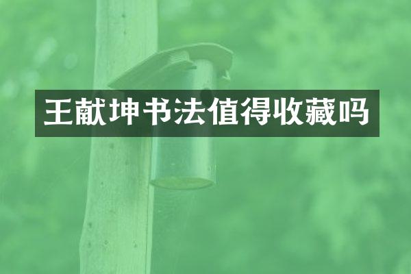 王献坤书法值得收藏吗