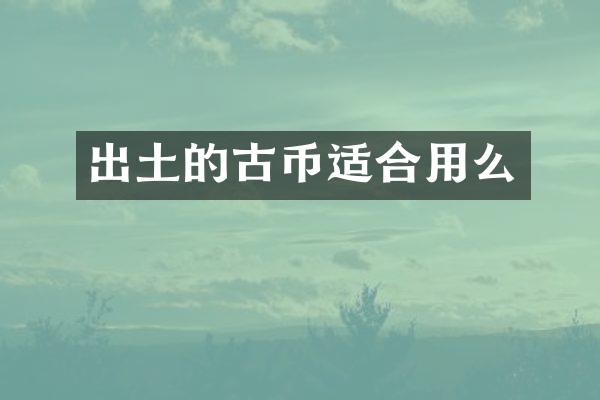 出土的古币适合用么