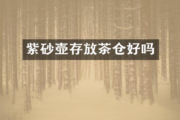 紫砂壶存放茶仓好吗