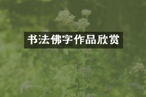 书法佛字作品欣赏