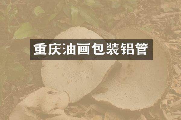 重庆油画包装铝管