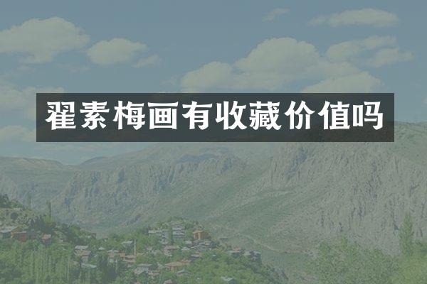 翟素梅画有收藏价值吗