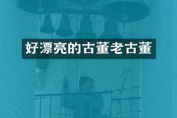 好漂亮的古董老古董