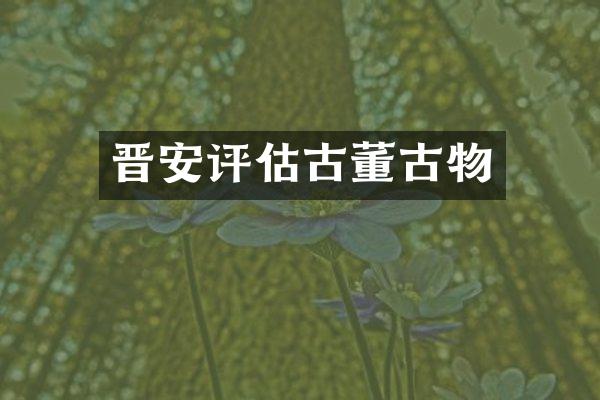 晋安评估古董古物