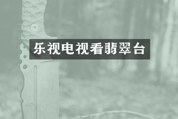 乐视电视看翡翠台