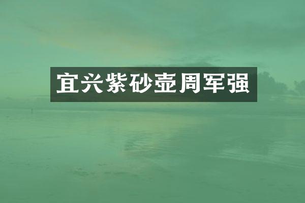 宜兴紫砂壶周军强