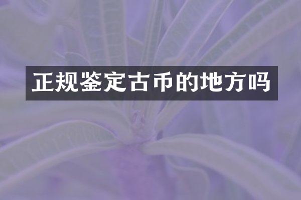 正规鉴定古币的地方吗