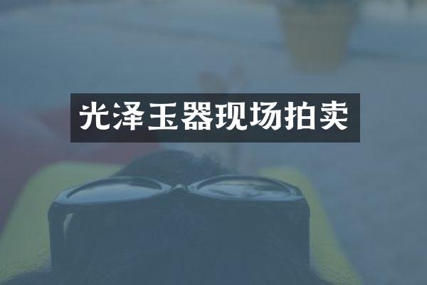 光泽玉器现场拍卖