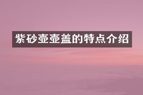 紫砂壶壶盖的特点介绍