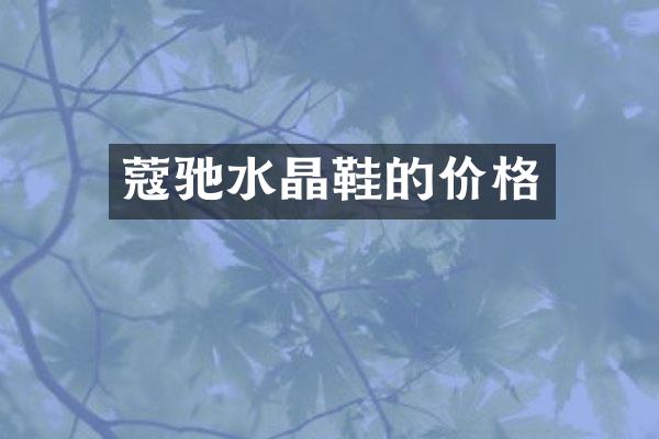 蔻驰水晶鞋的价格