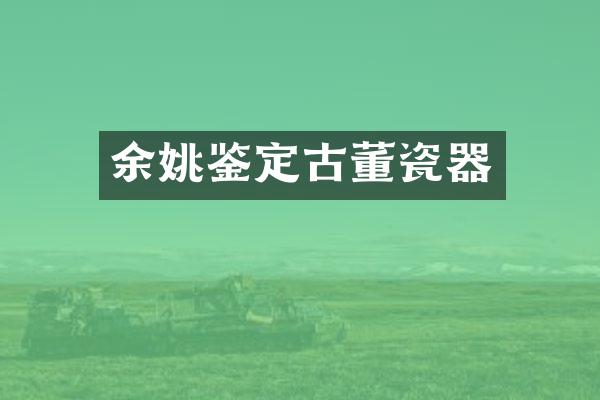 余姚鉴定古董瓷器