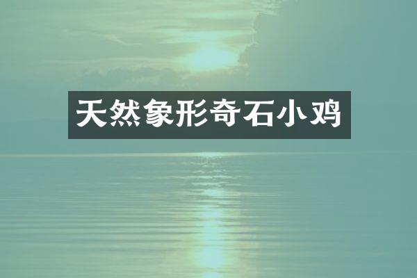 天然象形奇石小鸡