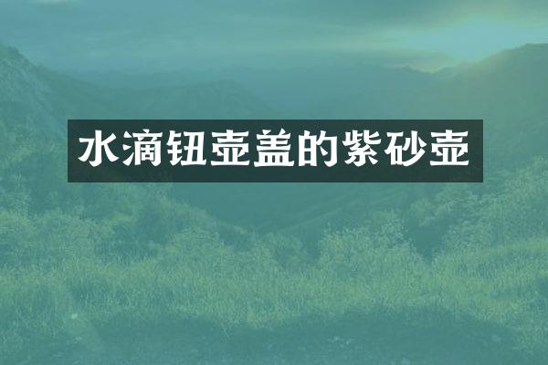 水滴钮壶盖的紫砂壶