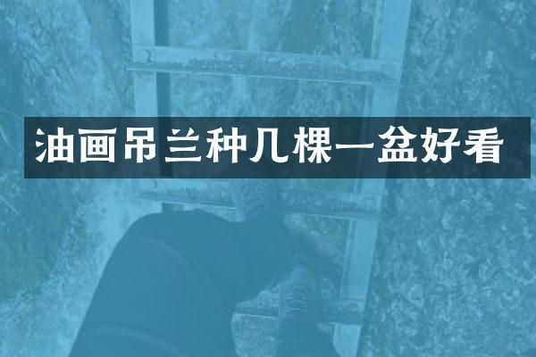 油画吊兰种几棵一盆好看