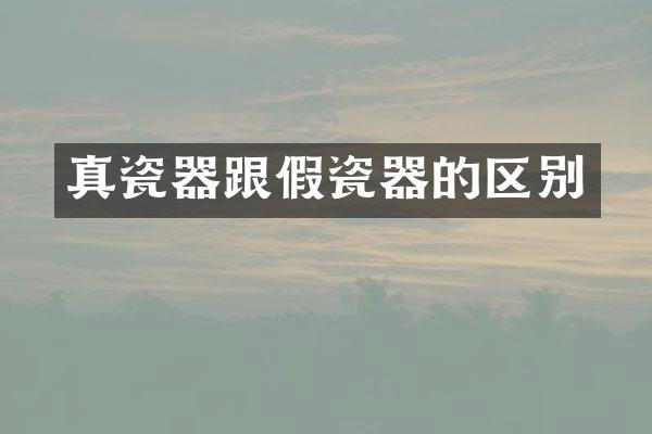 真瓷器跟假瓷器的区别