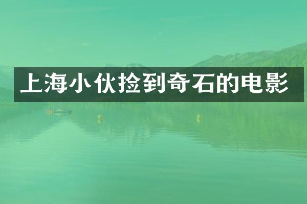 上海小伙捡到奇石的电影