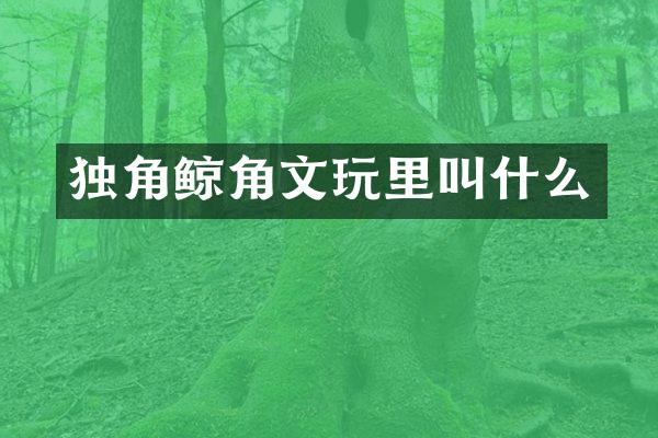 独角鲸角文玩里叫什么