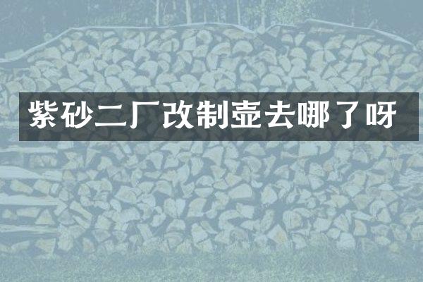 紫砂二厂改制壶去哪了呀