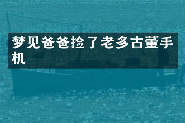 梦见爸爸捡了老多古董手机
