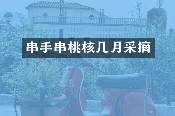 串手串桃核几月采摘