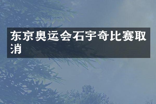 东京奥运会石宇奇比赛取消