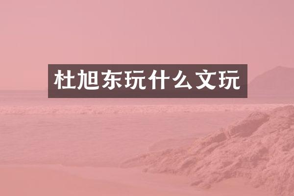 杜旭东玩什么文玩