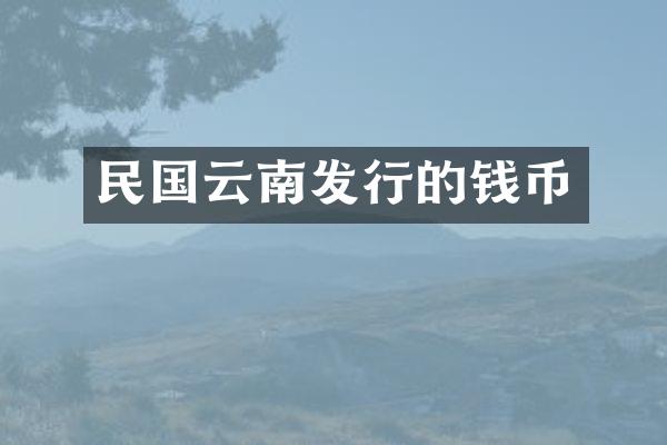 民国云南发行的钱币