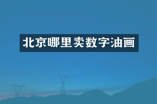 北京哪里卖数字油画