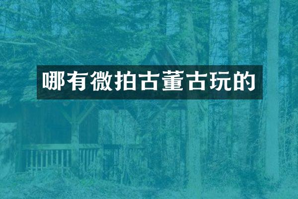 哪有微拍古董古玩的