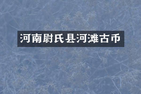 河南尉氏县河滩古币