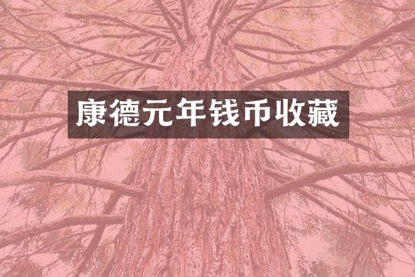 康德元年钱币收藏