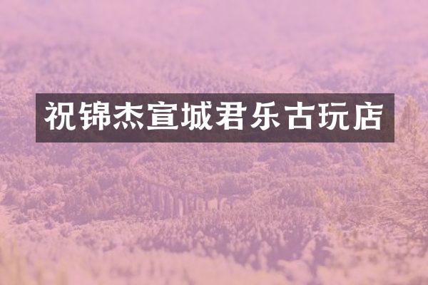 祝锦杰宣城君乐古玩店